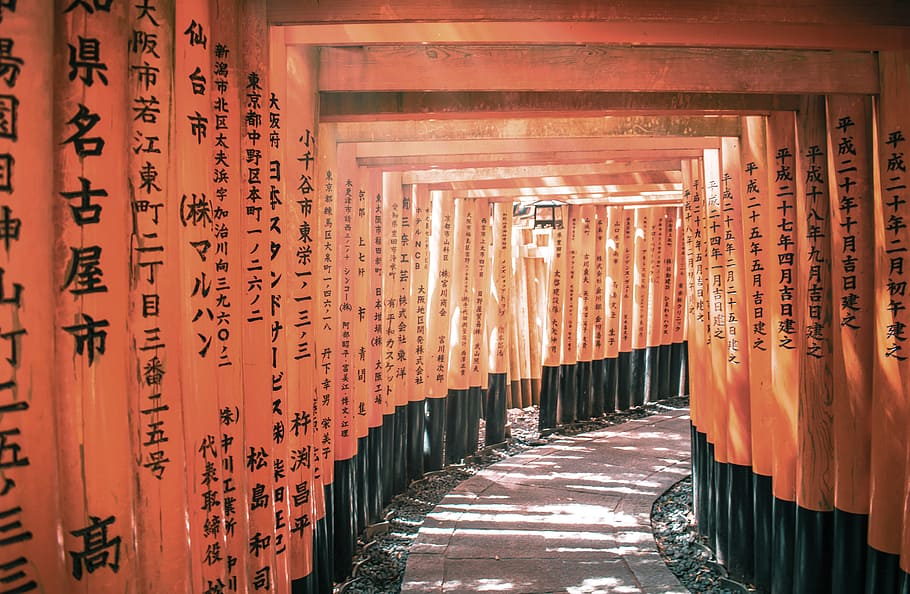 tunnel, sign, column, pillar, shrine, sunlight, path, asia HD wallpaper