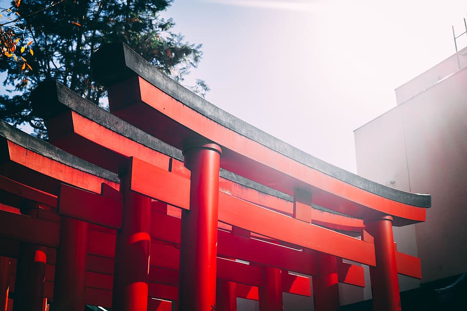 red-and-black Torii gates during day, temple gate, japan, religion, HD wallpaper