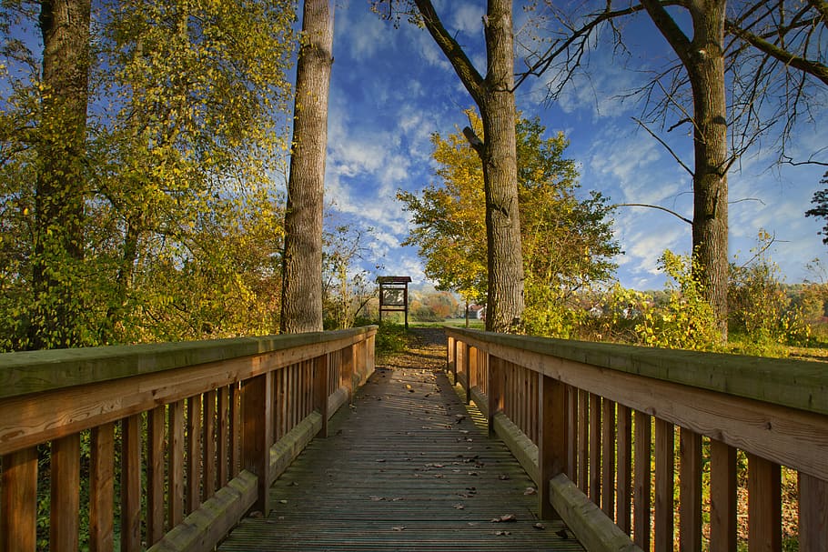 autumn, bridge, landscape, nature, river, water, leaves, scenic HD wallpaper