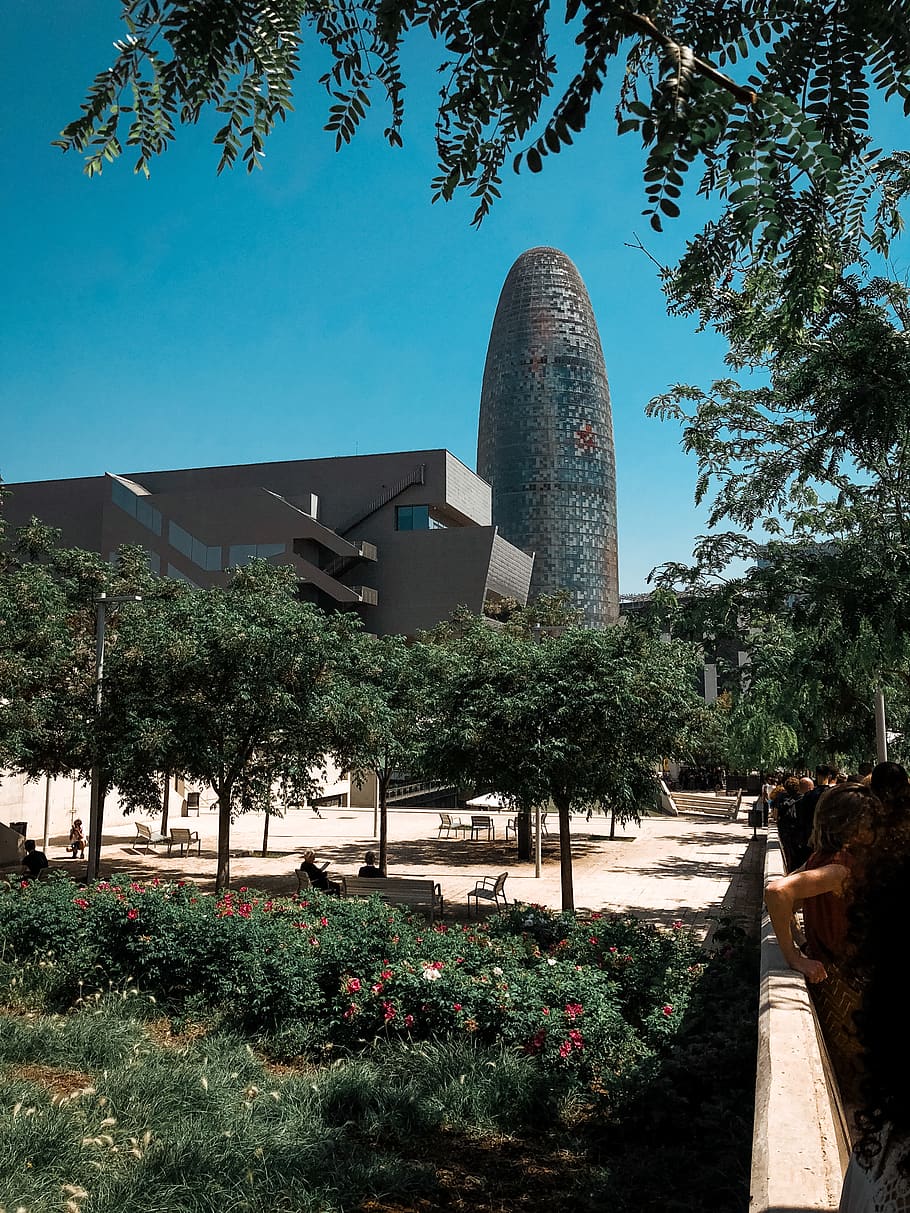 offf, spain, barcelona, plant, built structure, architecture HD wallpaper