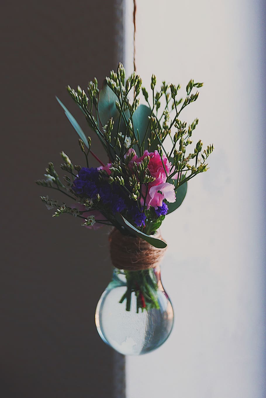 russia, interior, flowers, design, flowering plant, vulnerability HD wallpaper