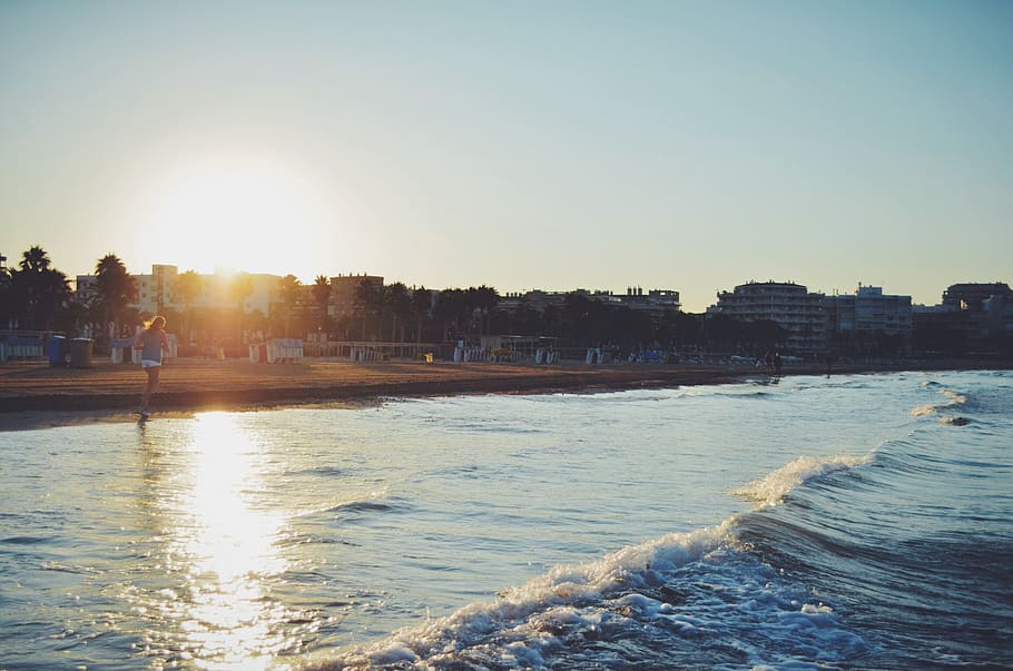 Body of Water during Daytime, beach, ocean, sea, seashore, sun HD wallpaper