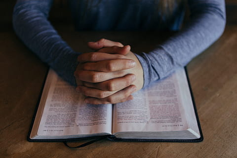 study, read, book, bible, koran, religion, christian, muslim HD wallpaper