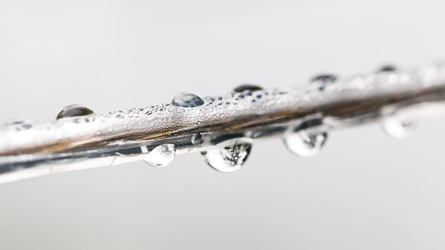 water dew, head, grey, spoon, cutlery, emblem, close-up, no people HD wallpaper