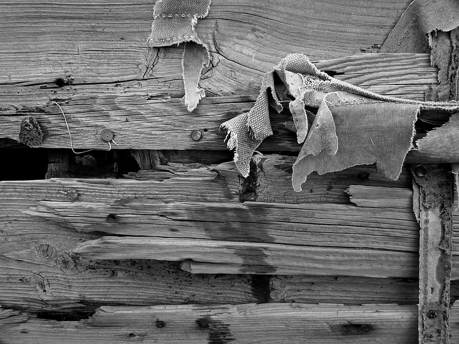 wood - material, no people, textured, full frame, close-up HD wallpaper