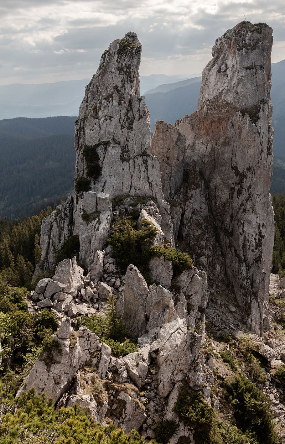 nature, cliff, rock face, trees, stone, stone wall, summer HD wallpaper