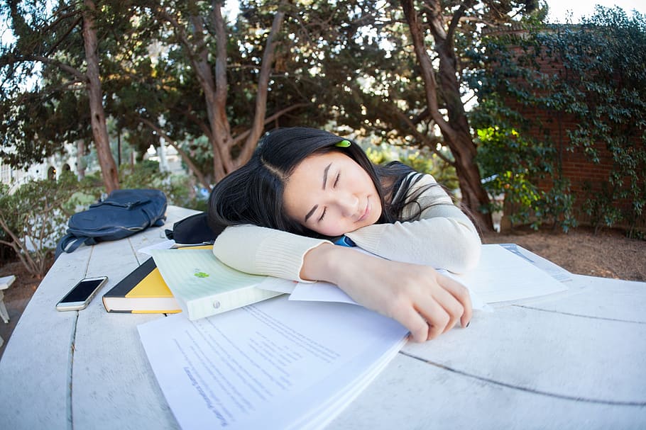 HD wallpaper: student, girl, study, pupil, tired, woman, park, outdoor,  sleeping | Wallpaper Flare