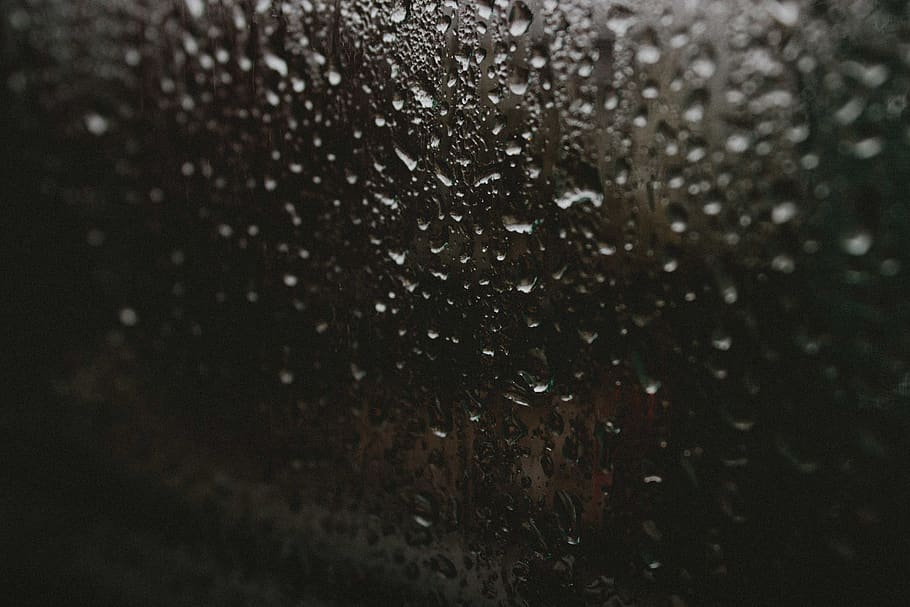 rain, dark, moody, focus, close, longing, hope, nature, simplicity HD wallpaper