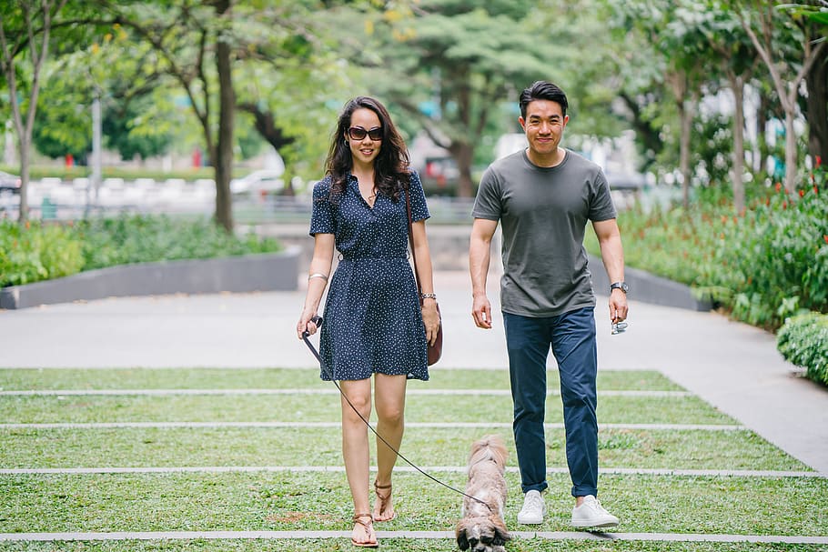Couple Walking With Dog on Green Grass, blurred background, canine HD wallpaper