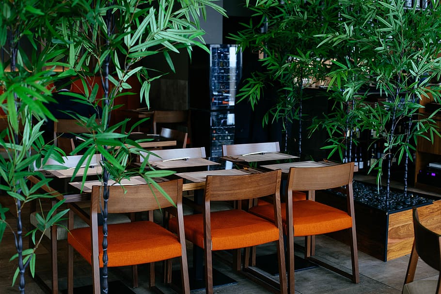 Chairs Near Plants, empty, indoors, restaurant, seats, table HD wallpaper
