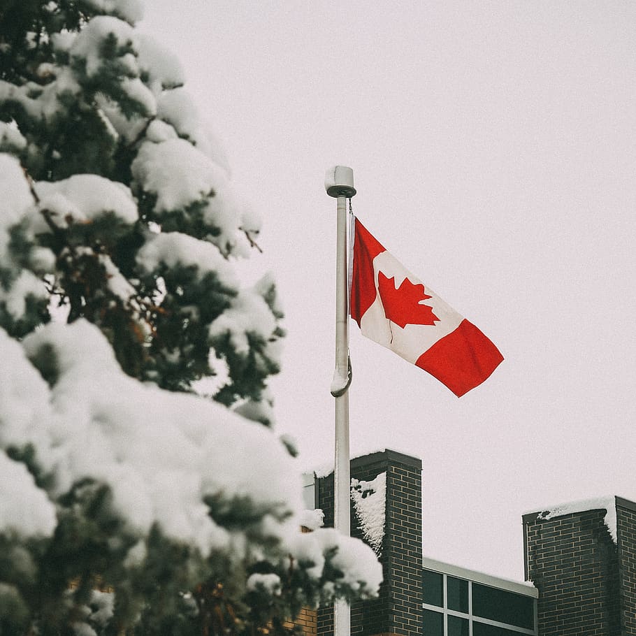 Canada flag waving near buildings, symbol, snow, urban, city