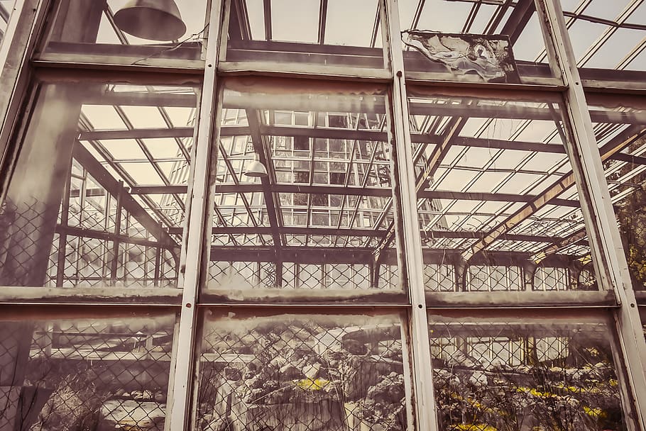 building, architecture, window, porch, skylight, plant, greenhouse HD wallpaper