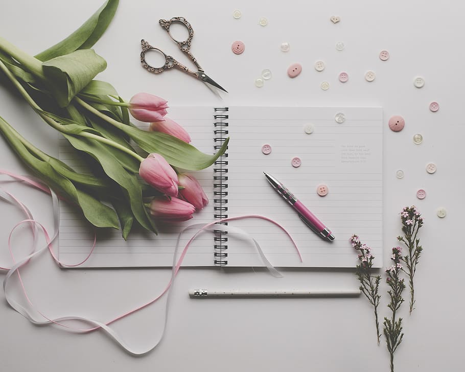 weaponry, pen, blade, scissors, plant, floral photography, pink tulips HD wallpaper
