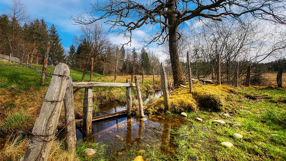 bach, meadow, tree, fence, landscape, water, creek, idyllic HD wallpaper