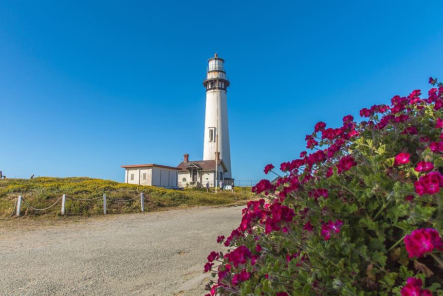 pacific, lighthouse, pigeon point, light station, california HD wallpaper