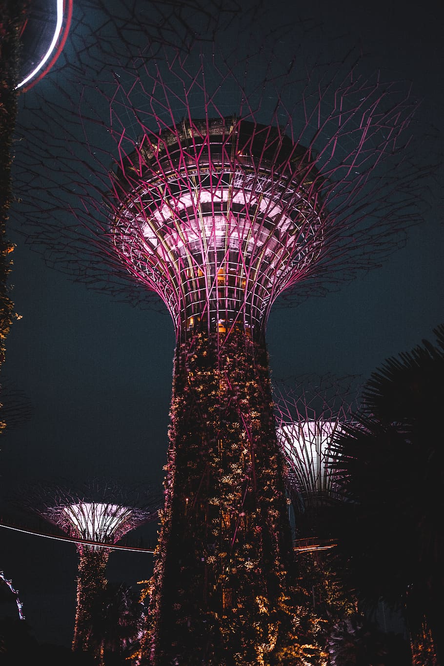 purple lighted tower, nature, outdoors, lighting, night, fireworks HD wallpaper
