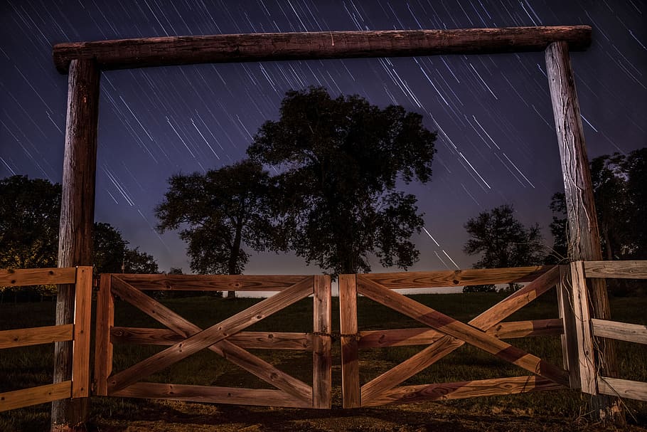 tree, plant, nature, dark, night, atmosphere, wooden, fence HD wallpaper