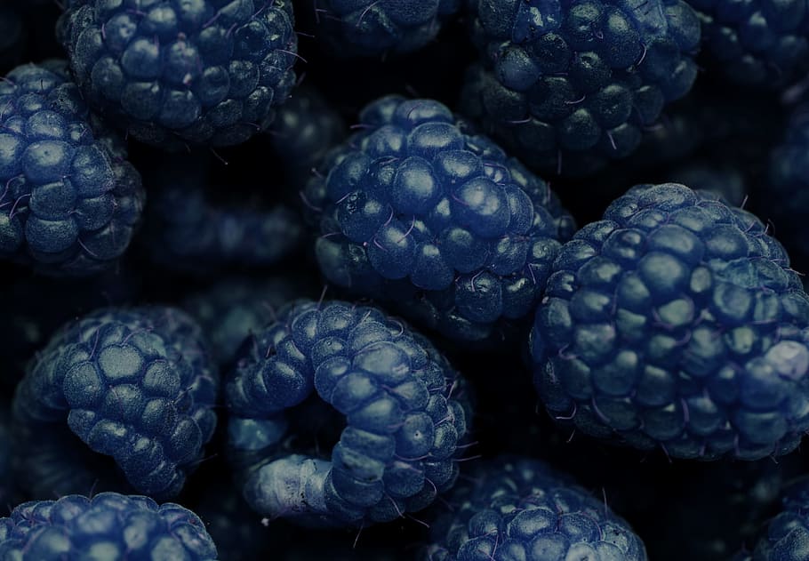 background, berry, blackberry, blue, closeup, delicious, dessert HD wallpaper