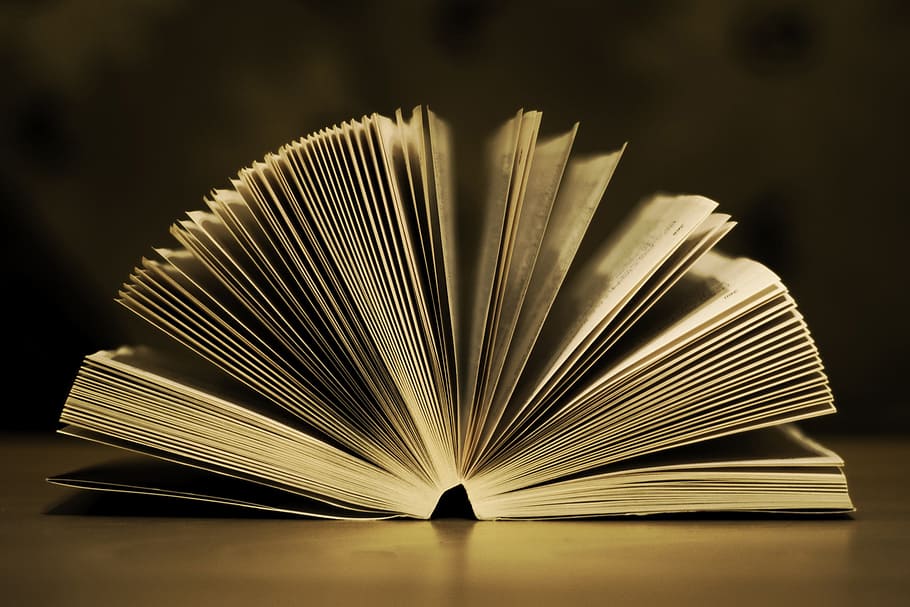 Open Book Photos Download The BEST Free Open Book Stock Photos  HD Images