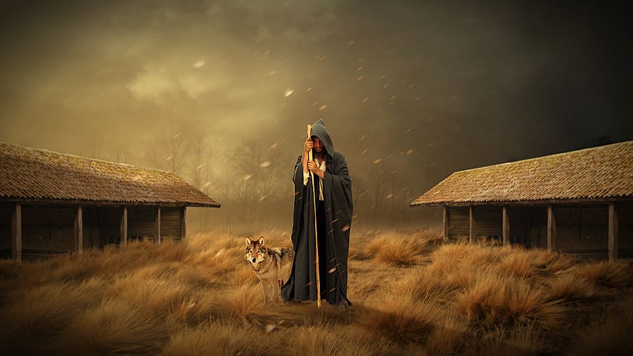 man, human, wolf, animal, guard, sky, nature, landscape, fantasy HD wallpaper
