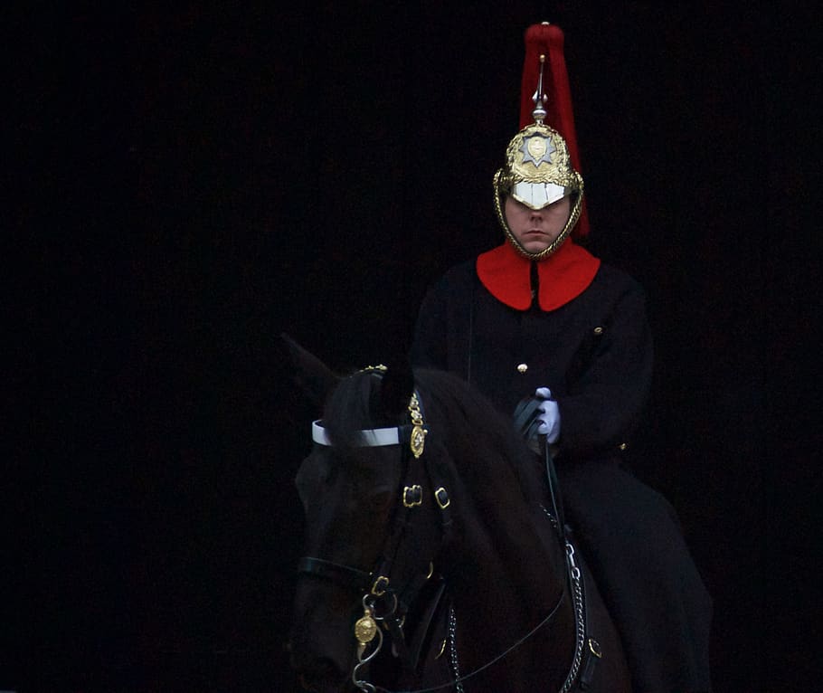 man riding on black horse, human, person, animal, mammal, equestrian
