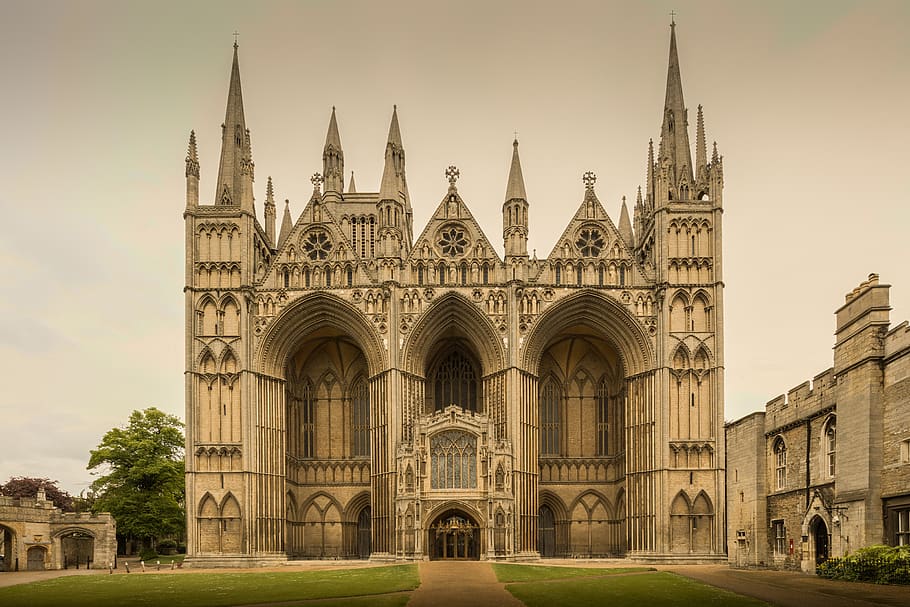 peterborough, united kingdom, cathedral church of st peter, HD wallpaper