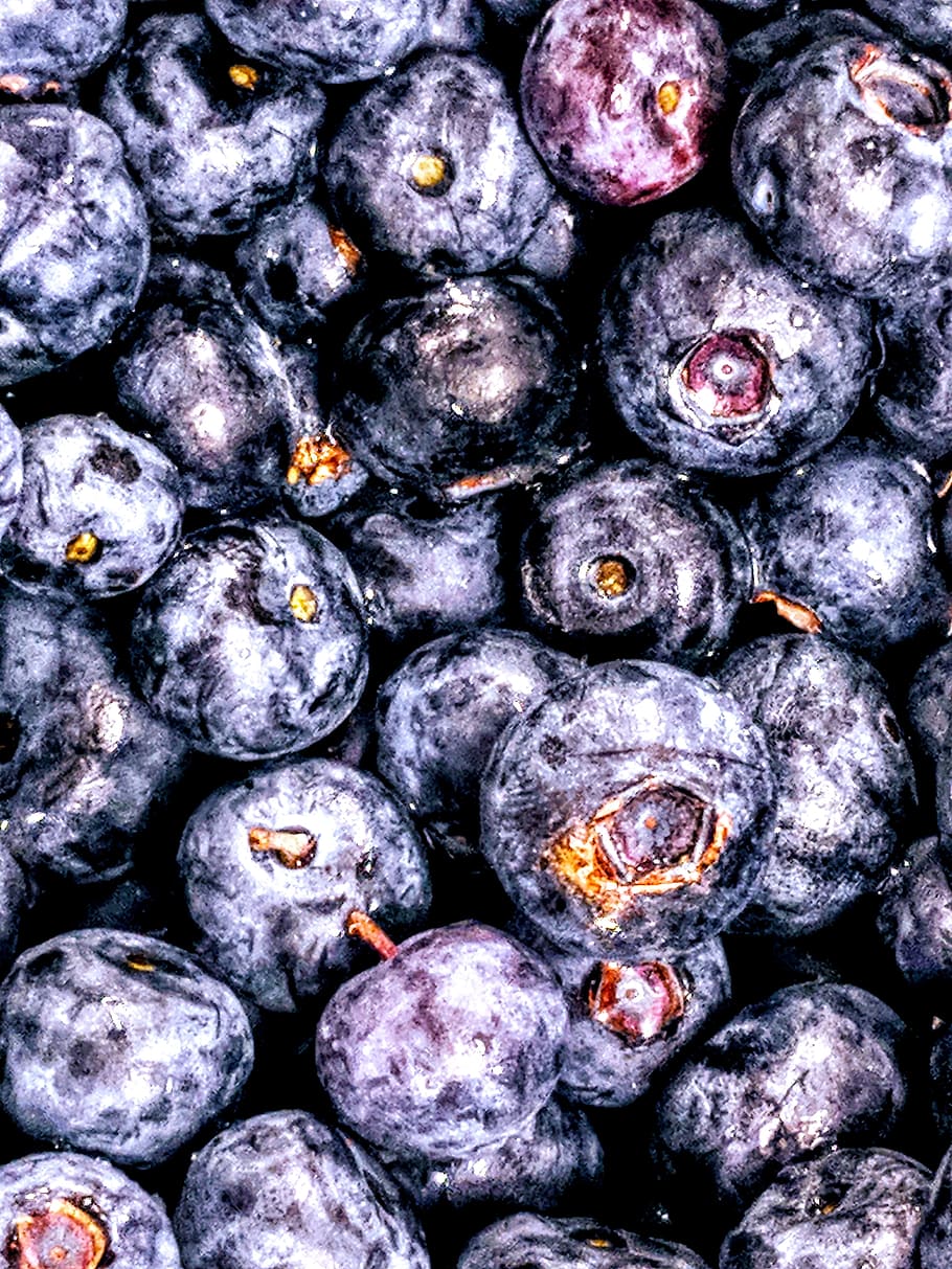 Flat Lay Photography of Bunch of Blueberries, close-up, delicious