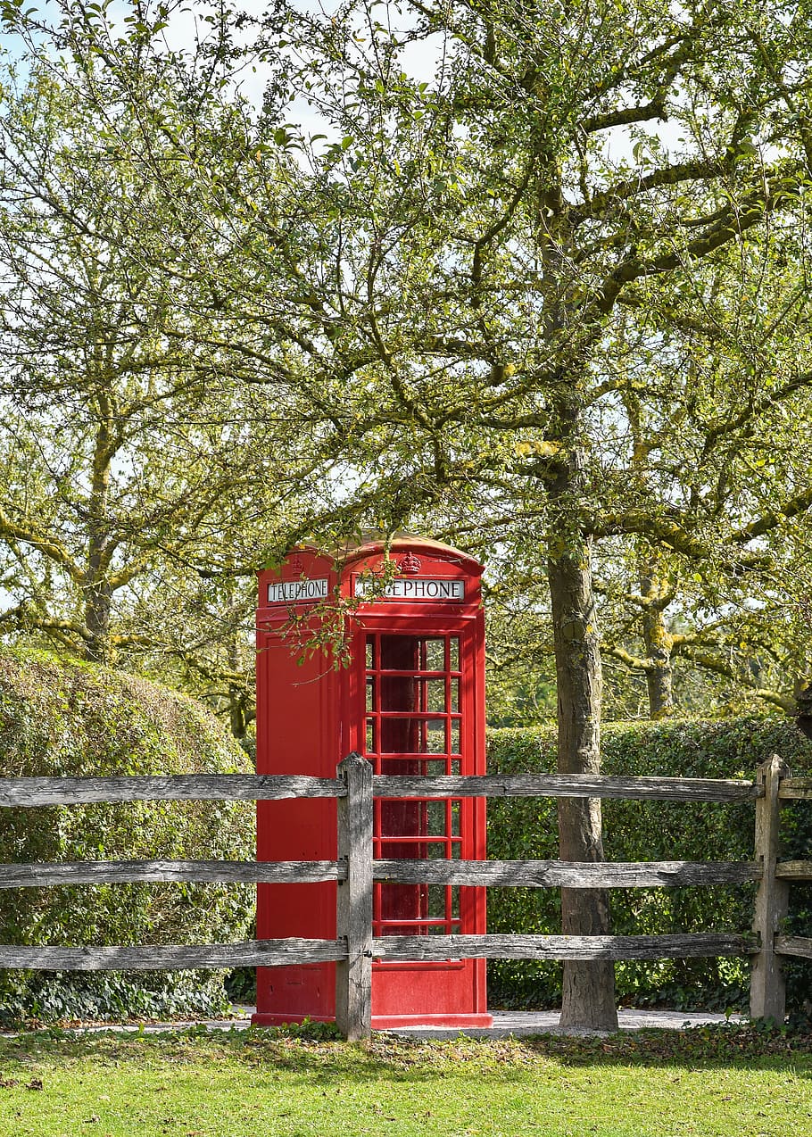 phone, cabin, red, british, communication, green, tree, red telephone box HD wallpaper