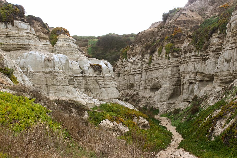 cliffs, plants, grass, san clemente, beach, beach cliffs, stone HD wallpaper