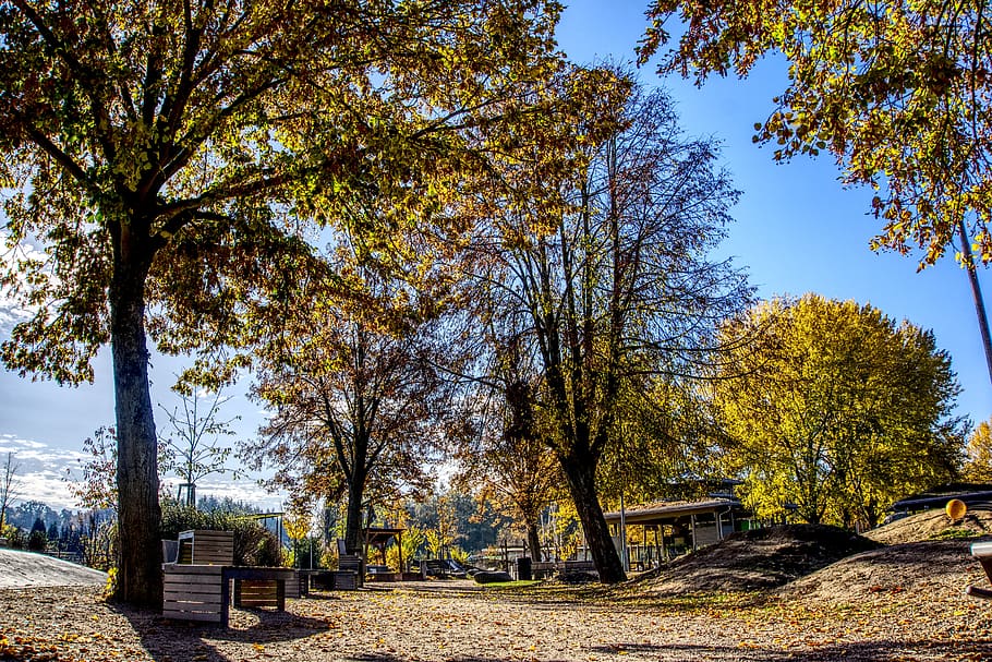 playground, autumn, colorful, sun, backlighting, sky blue, sport, HD wallpaper