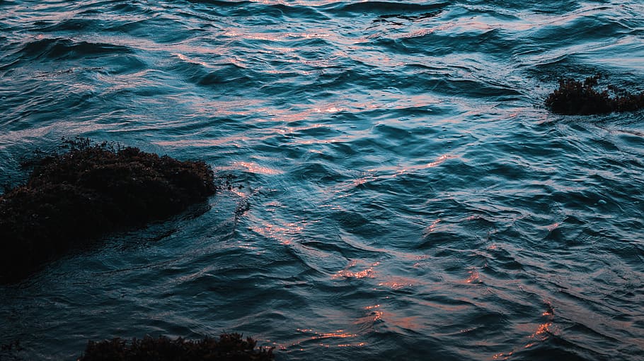 ocean wave photography, sea, water, motion, no people, waterfront HD wallpaper