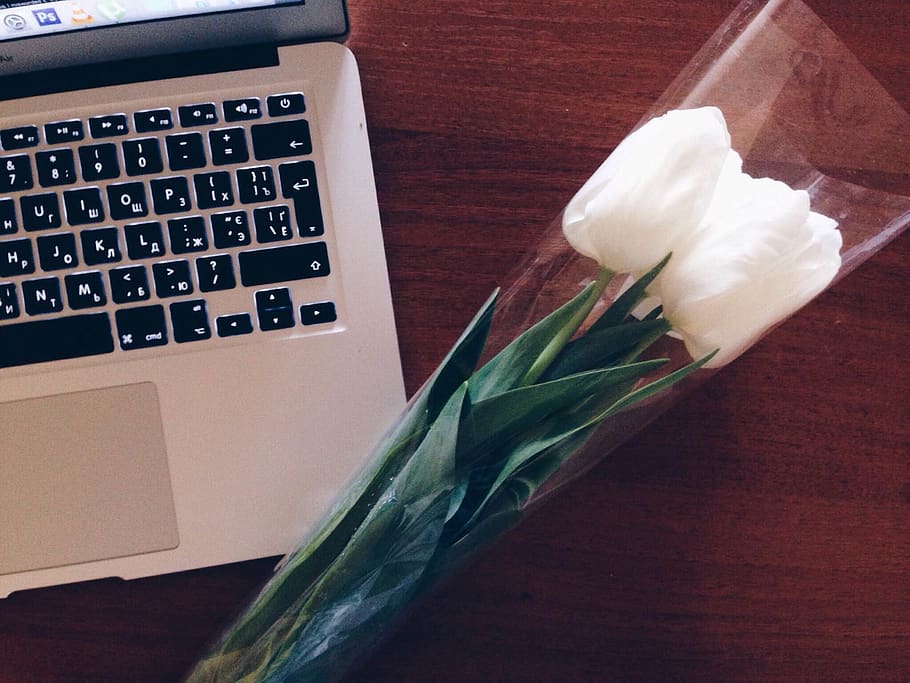 macbook, laptop, computer, technology, business, desk, tulips HD wallpaper