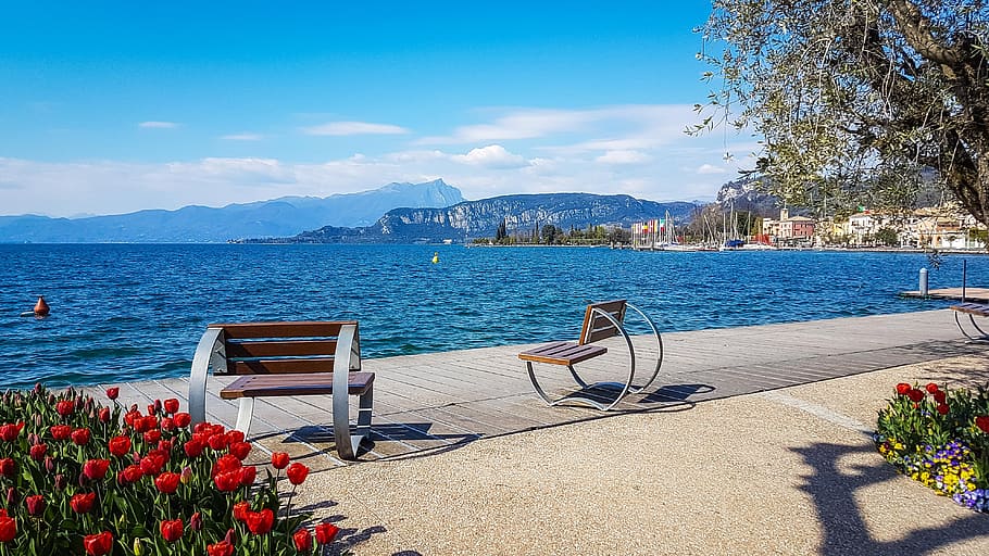 bardolino, lago di garda, italy, wine, quiet, water, lake, flowers, HD wallpaper
