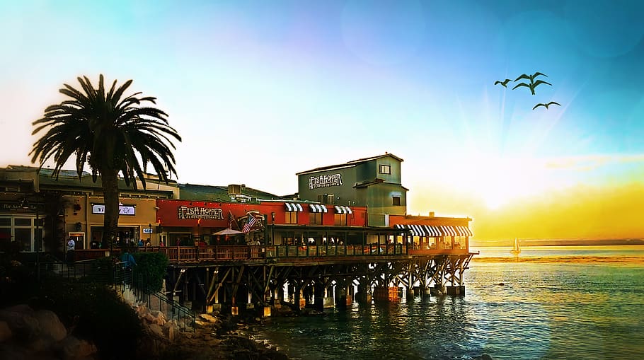 monterey, united states, cannery row, california, ocean, beach, HD wallpaper
