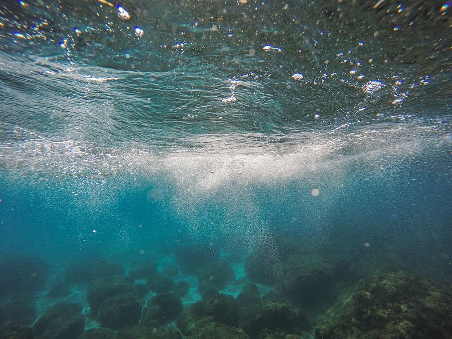 underwater shot during daytime, sea, undersea, nature, beauty in nature HD wallpaper