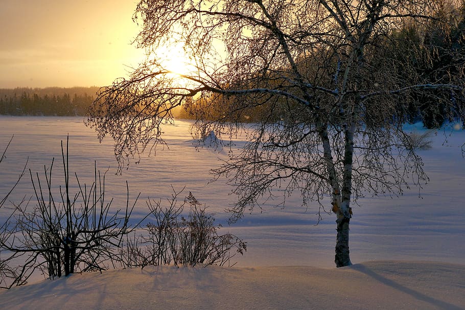 sunset, twilight, landscape, nature, winter, cold, gel, snow HD wallpaper