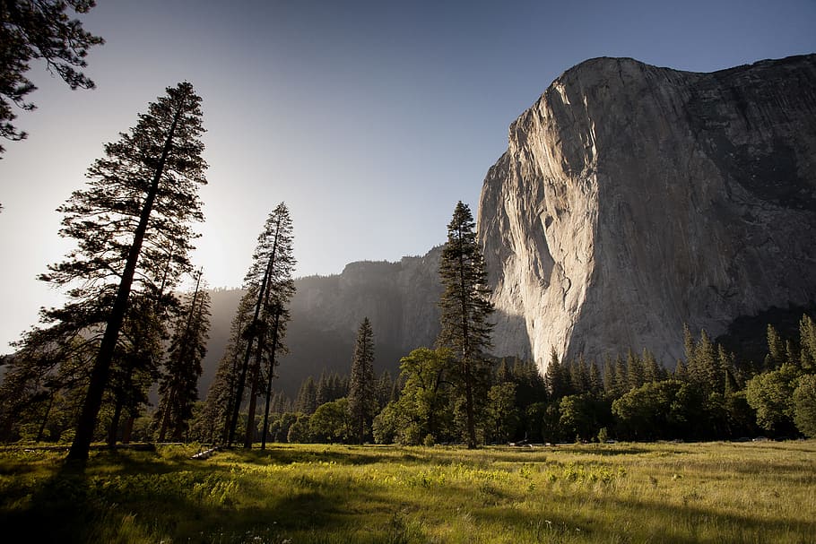 landscape, grass, trees, cliffs, rocks, park, nature, outdoors HD wallpaper