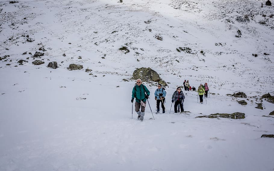 bouleste, pyrénées, mountain, snow, group, hiking, winter HD wallpaper