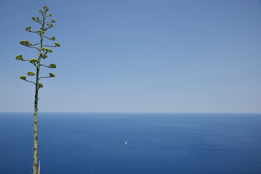 spain, majorca, sailing, sailboat, ocean, sea, blue, seascape HD wallpaper
