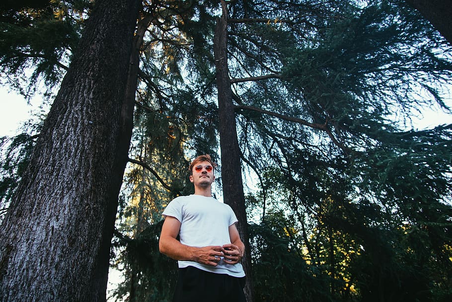 man standing under tree, human, people, person, italy, milano HD wallpaper