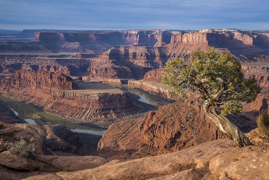 moab, united states, dead horse point trail, america, west, HD wallpaper