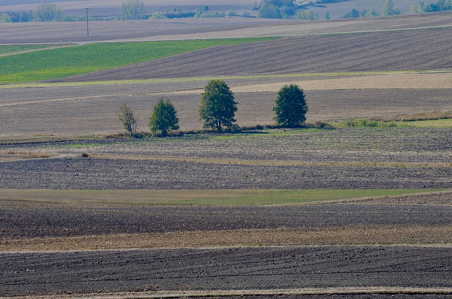 arable, fields, agriculture, landscape, harvest, rural, autumn HD wallpaper
