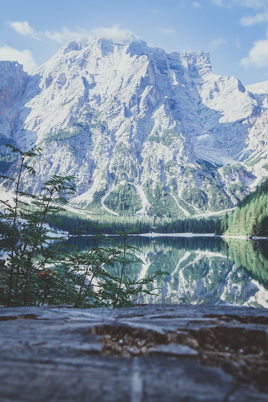 mountain peak near trees, scenics - nature, beauty in nature HD wallpaper
