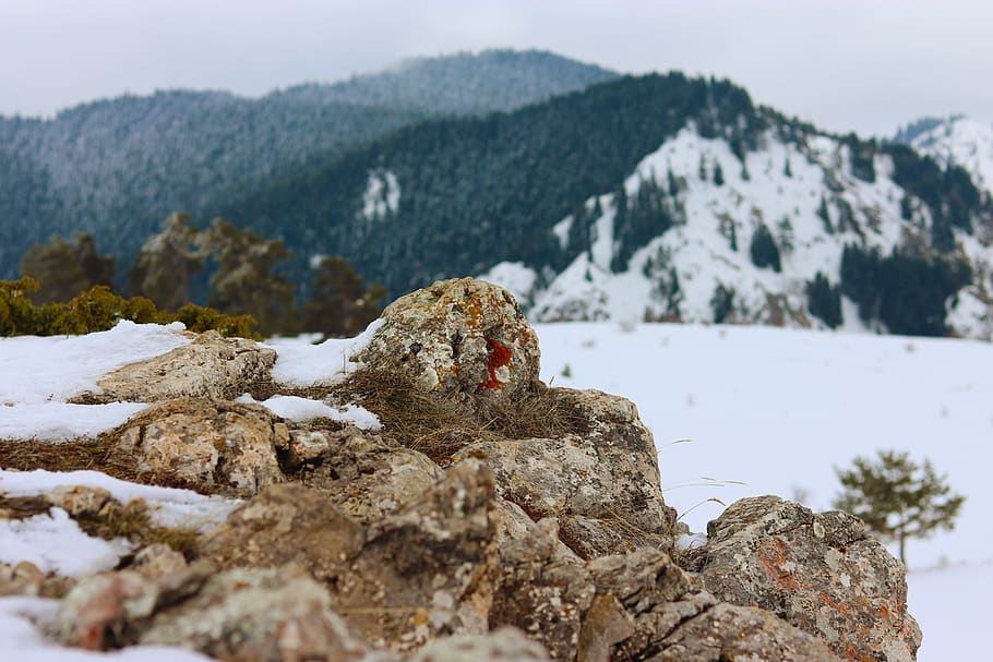 rock, red, mountain, top, cold, winter, cold temperature, snow HD wallpaper