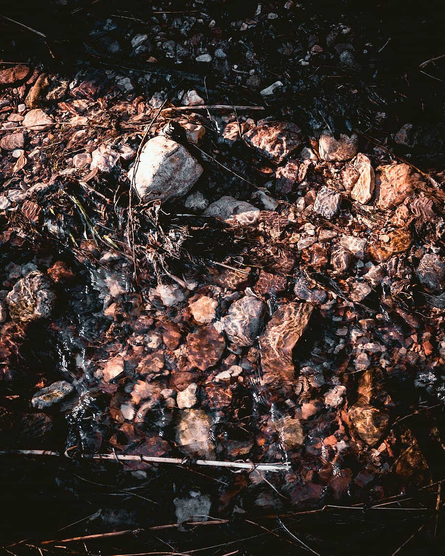 ground, rock, rubble, plant, outdoors, land, nature, leaf, tree HD wallpaper