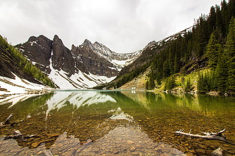 Banff National Park, Canada, water, mountain, tree, forest, woodland HD wallpaper