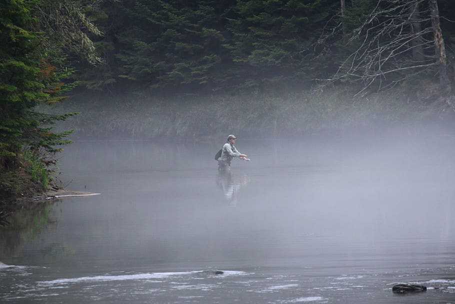 fisherman, fly, river, nature, water, tree, real people, plant HD wallpaper