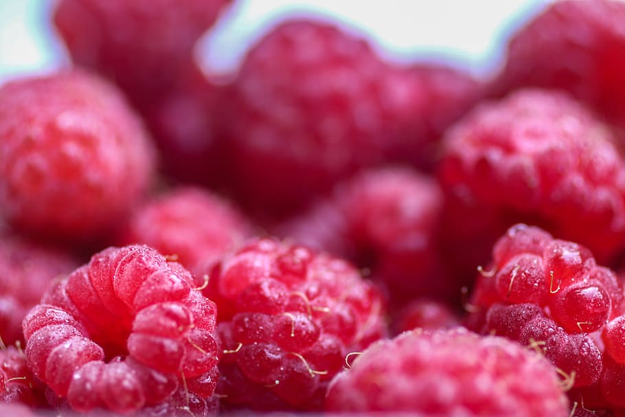 raspberries, raspberry, pink, red, summer, fruit, fruity, healthy HD wallpaper