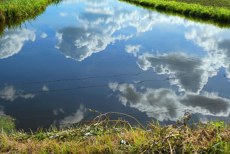 reflection, ditch, clouds, grass, nature, whey, water, plant HD wallpaper