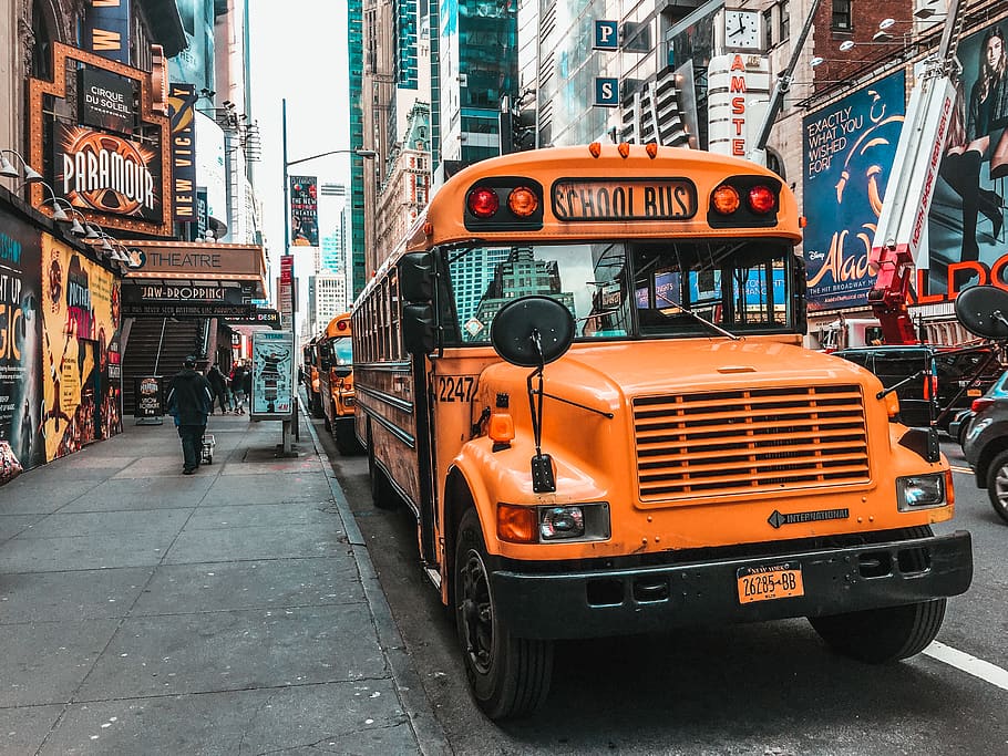 yellow school bus, human, person, transportation, vehicle, usa